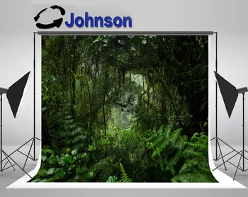 JOHNSON Džiunglių tunelis Lietaus miško medžio temos fonas Aukštos kokybės kompiuterio spausdinimo vakarėlio fonas