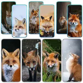 Wild Pets Fox tapetai Minkštas telefono korpusas, skirtas Samsung Galaxy A04 A14 A23 A34 A54 M23 M33 M52 M53 M30S M31 M51 M21 Dangtelio dėklas
