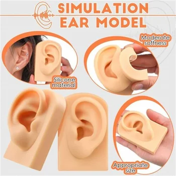 Naujas imituotas ausies modelis Silikoniniai auskarai Naujokų praktika Auskarų vėrimas Treniruočių rekvizitai Auskarai Ekranas Didmeninė prekyba
